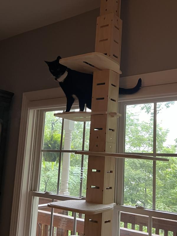 COZIWOW Floor to Ceiling Adjustable Height Cat Tree Tower, 98-114in ...