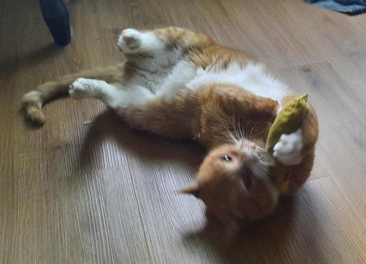 Yeowww catnip is the Best!