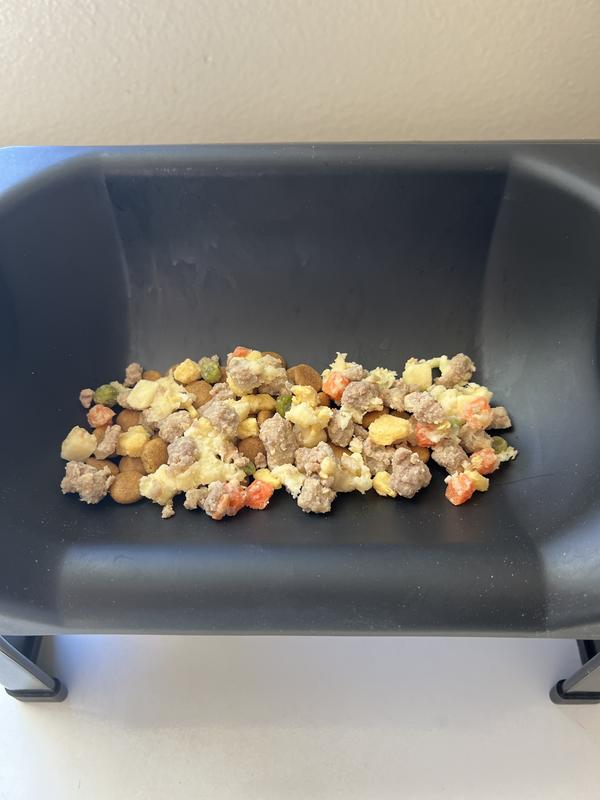 We mixed it with a little bit of his hydrolyzed protein kibble to prevent an upset stomach when introducing a new diet