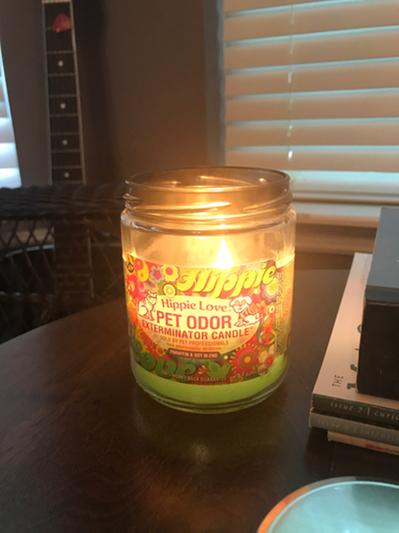 Hippie love clearance pet odor candle