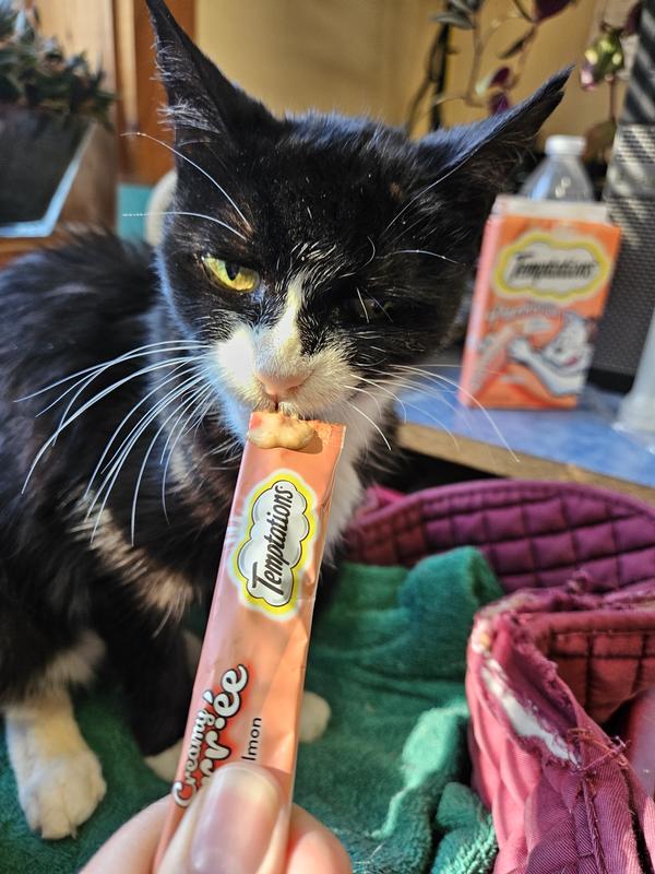 Peanut, 16 yr old barn cat, enjoying her favorite treat. Has literally been a LIFESAVER