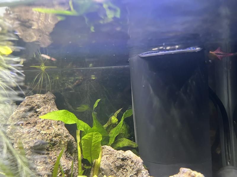 the back of my tank with the background