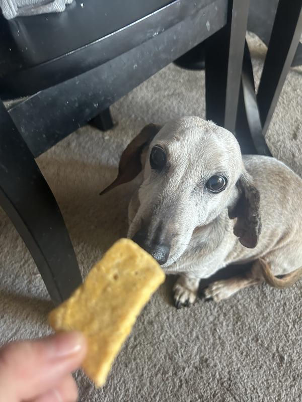 He’s inspecting it