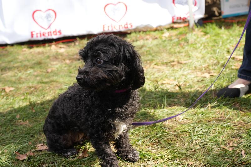 My little girl  Zoey spoiled rotten