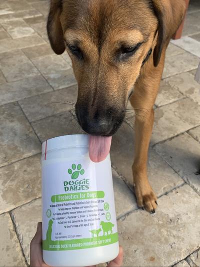 Doggie dailies probiotics best sale