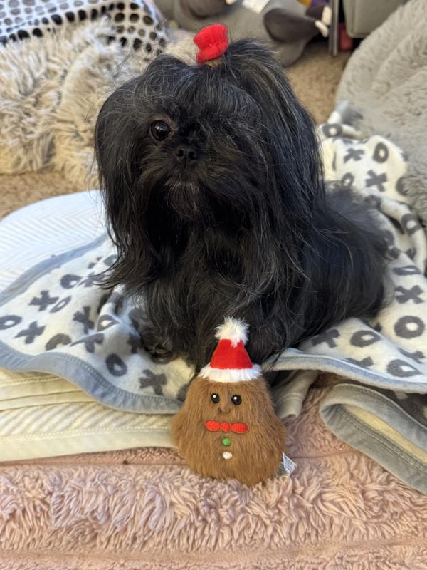 Me and my fuzzy gingerbread claus
