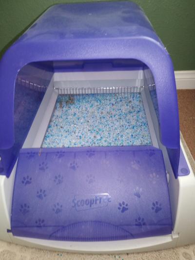 Petsafe scoopfree reusable outlet litter tray