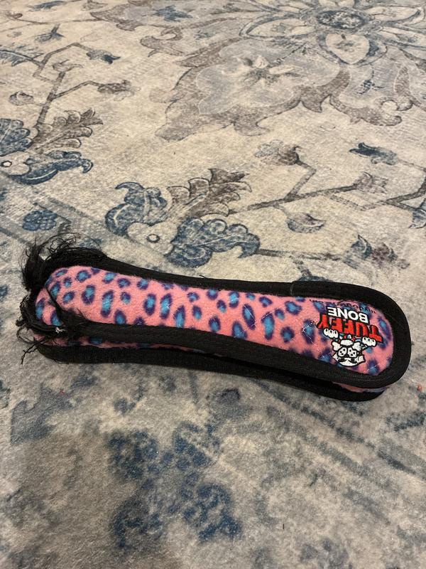 Beverly Louise the pitbull loves this