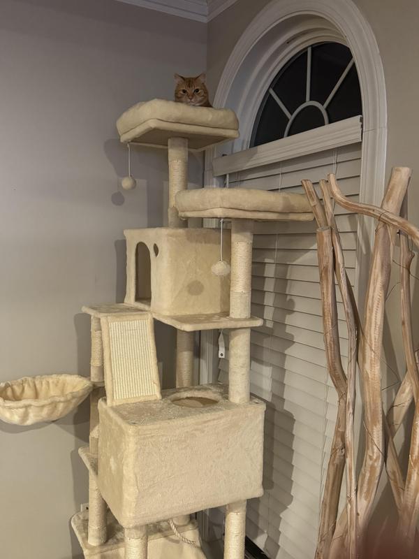 Loves the cushioned seats.