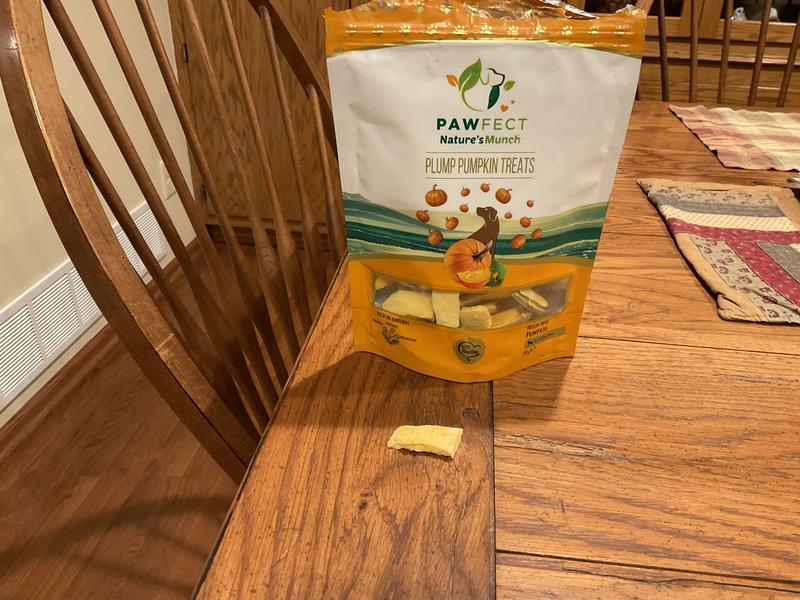 Pawfect Pumpkin Purge All Natural Grain-Free Dog Food topper, 8.81-oz jar