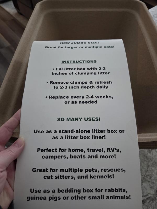 14lb cat for comparison