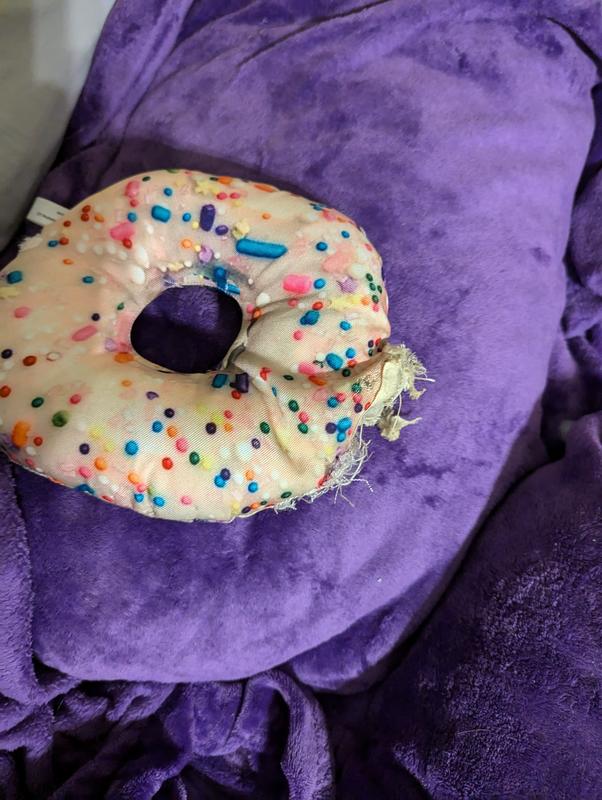 Not suitable for chiweenies