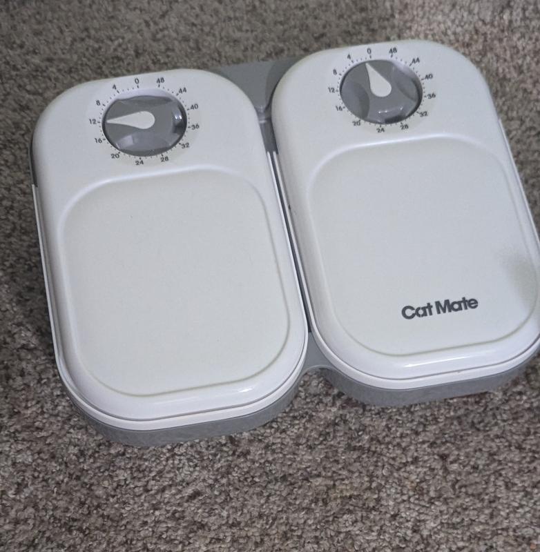 Mangiatoia Automatica Per Gatti E Cani Piccoli - Timer 48 Ore, 2 Pasti, Con Pacco Ghiaccio - Foto 13