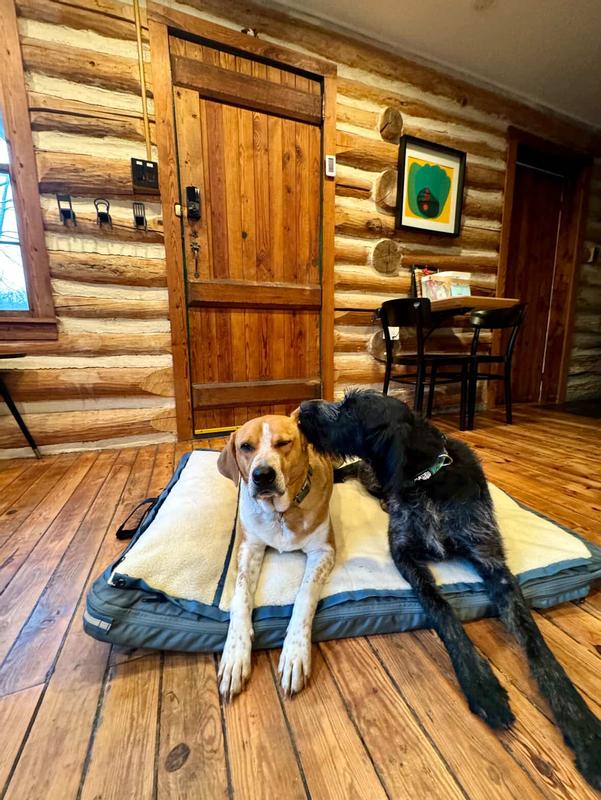 two large dogs inside a wood cabin, lounging on a RuffRest Ultimate Dog Bed