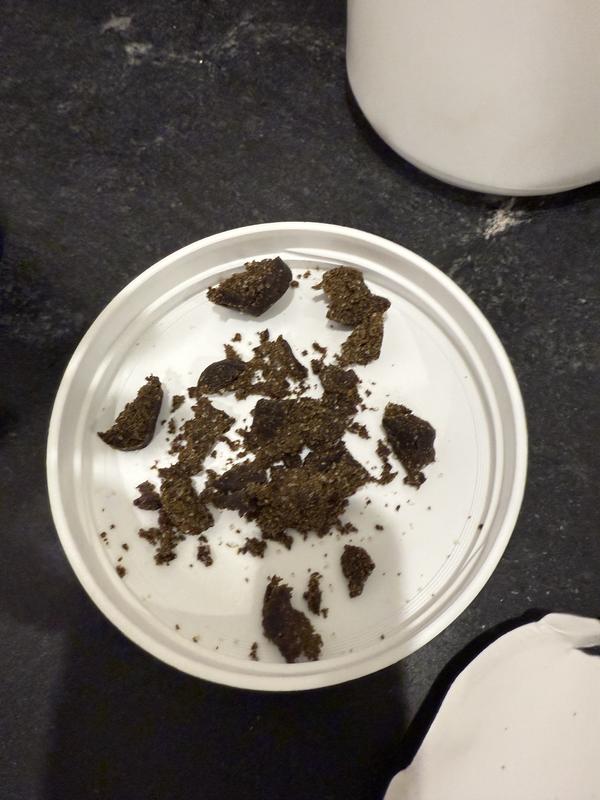 Dry, Crumbly chews, that instantly fall apart.