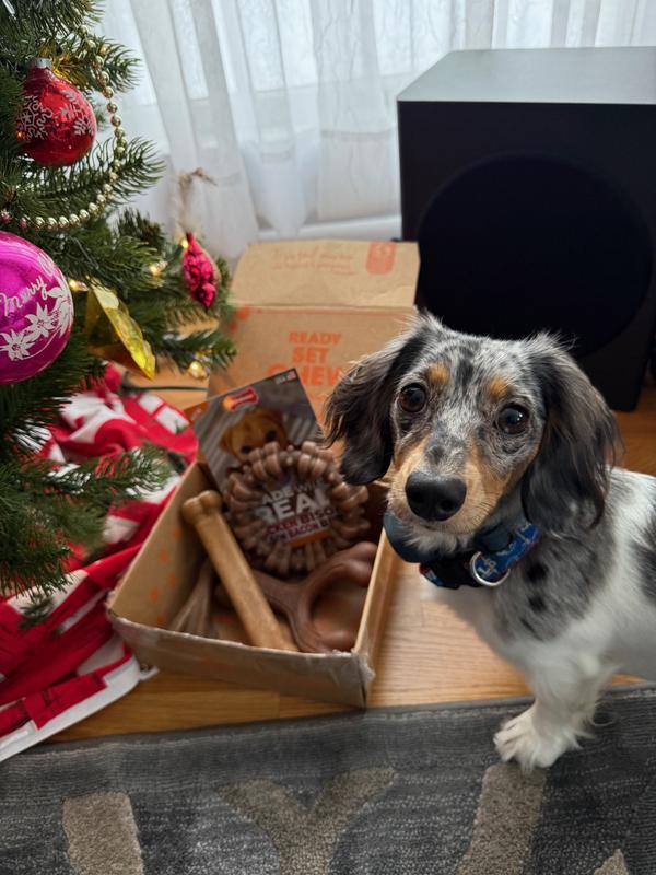 Which one do I choose?