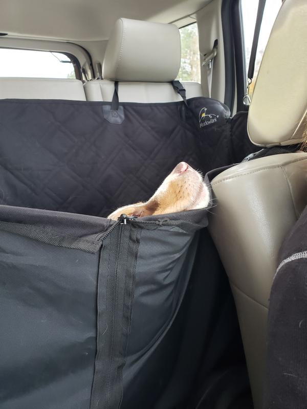 Meadowlark Dog Seat Cover