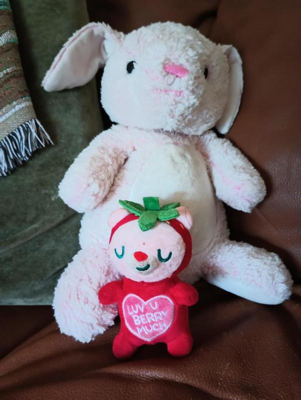 Frisco Valentine Strawberry Bear Plush Squeaky Dog Toy in comparison to "regular" stuffed animal