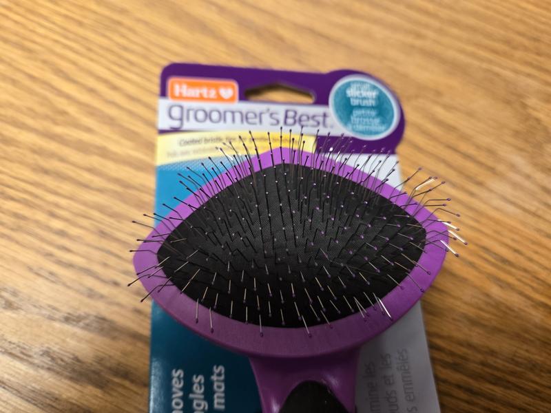 Hartz best sale cat brush