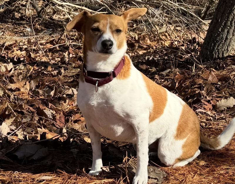 Freshpet keeps her healthy!