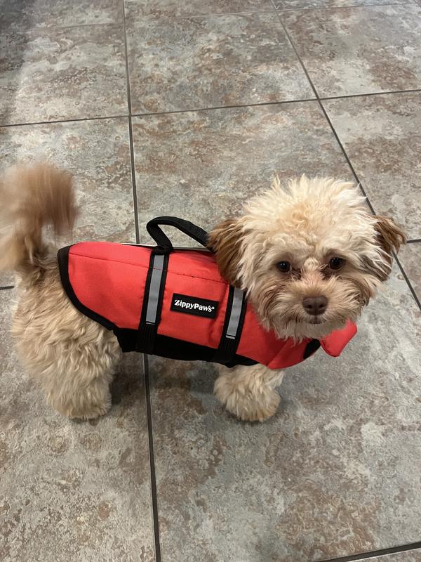 Product Reviews for ZIPPYPAWS Adventure Dog Life Jacket