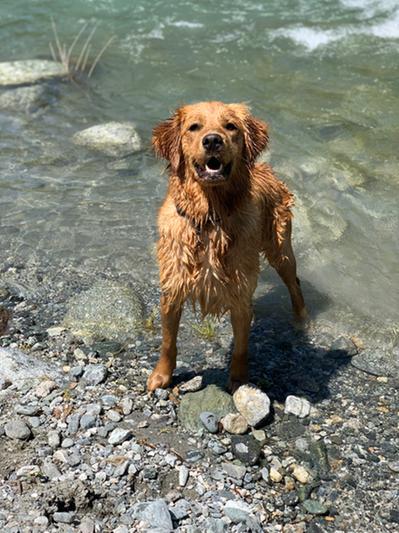 Very active, loves swimming and running. No trouble keeping weight on her.