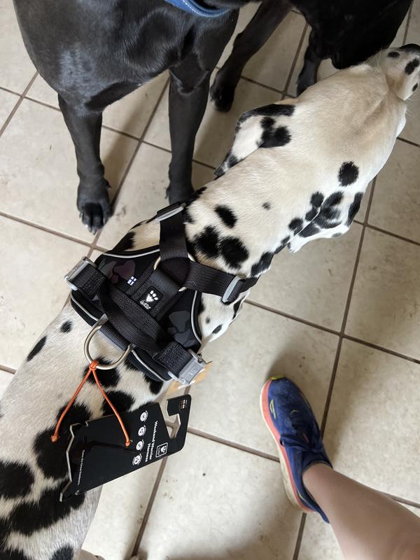 Great fit and very nice quality!