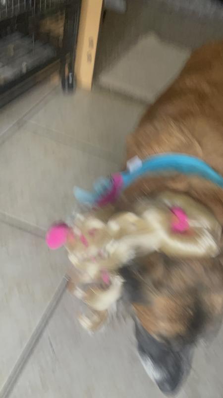 Milli is going to the gym!