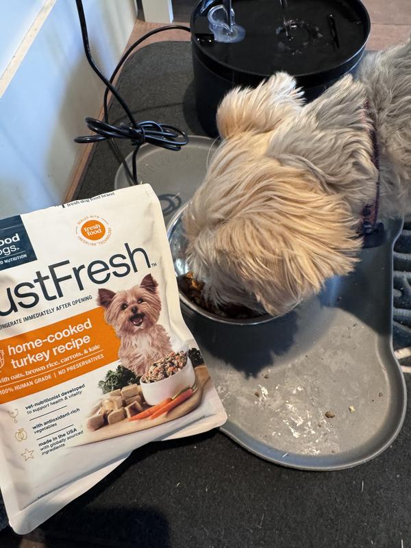 Maddux LOVING! His new food