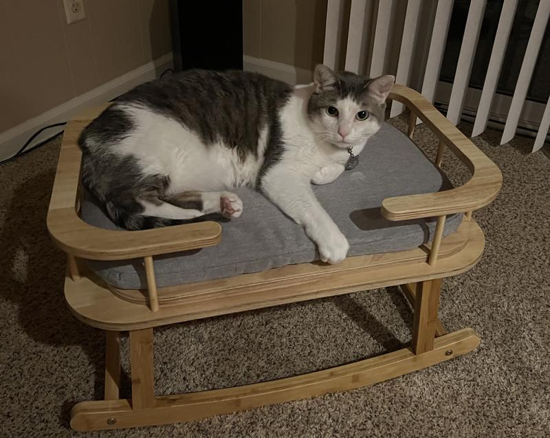 My kitty Libby loves the bed!