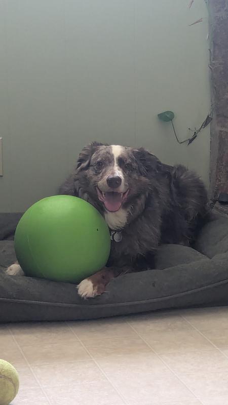 Hey Daddy, I love my new toy!