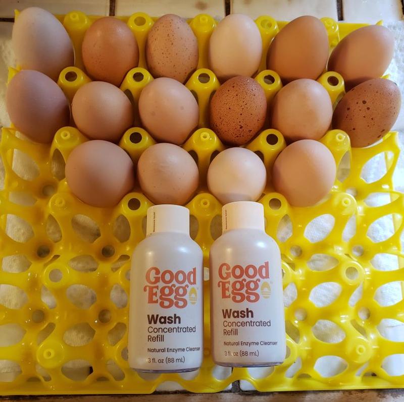 Cleaned Eggs with Available Refills. Where's That Dirty Egg Now??