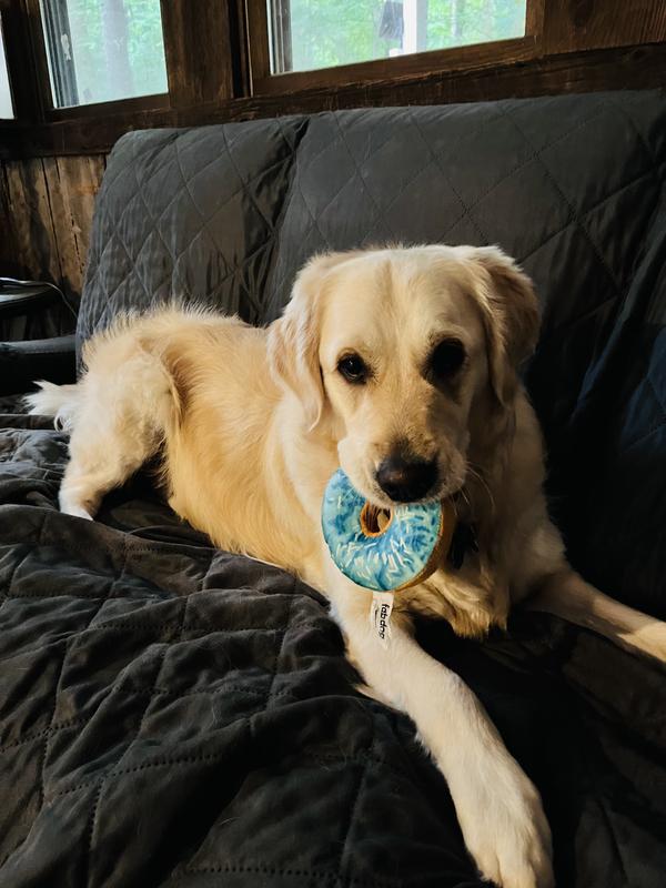 Scout loves them so much minus the tags