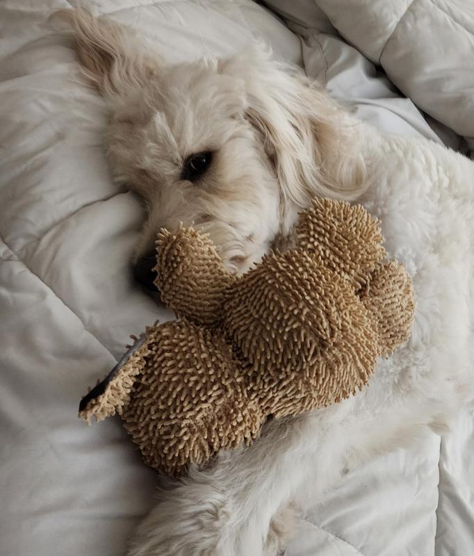 My bubby loves this!!