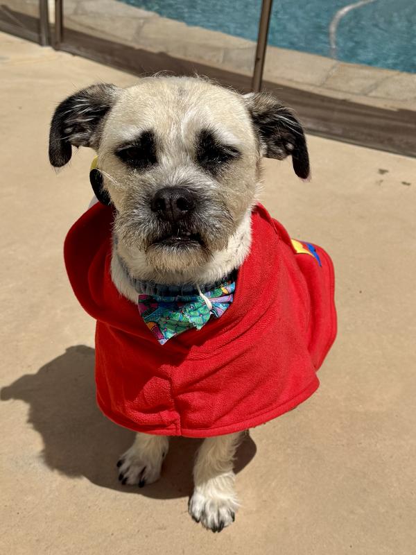 She’s trying to look adorable