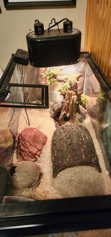 The snakey gets heat without light and with it.