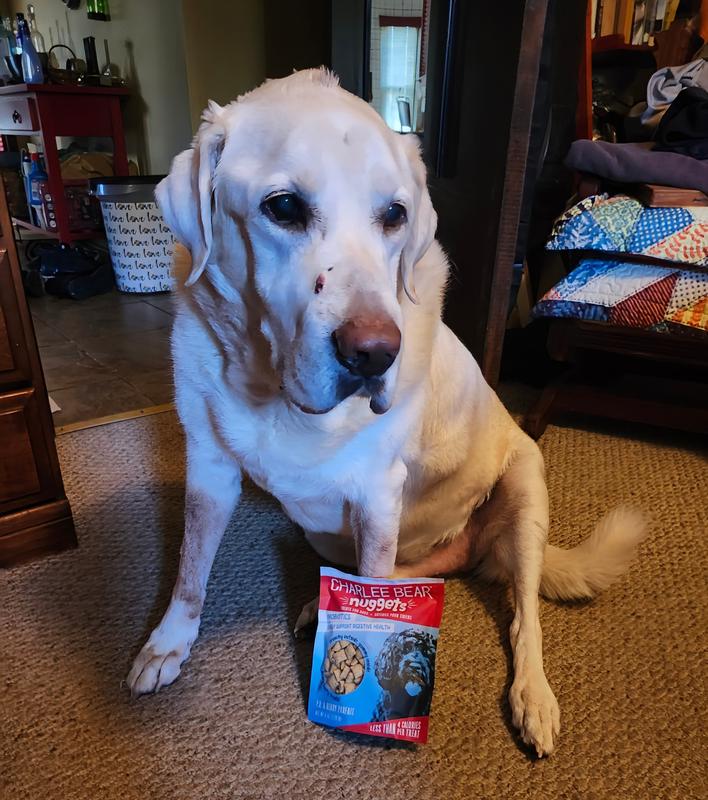 Gunner bringing me his Charlee Bear PB & Beary Parfait Nuggets for more please!