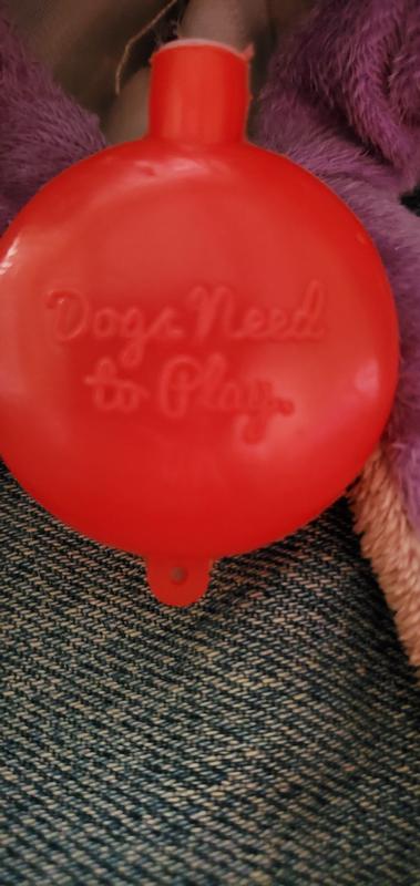 Red Squeeker that says "Dogs Need to Play."