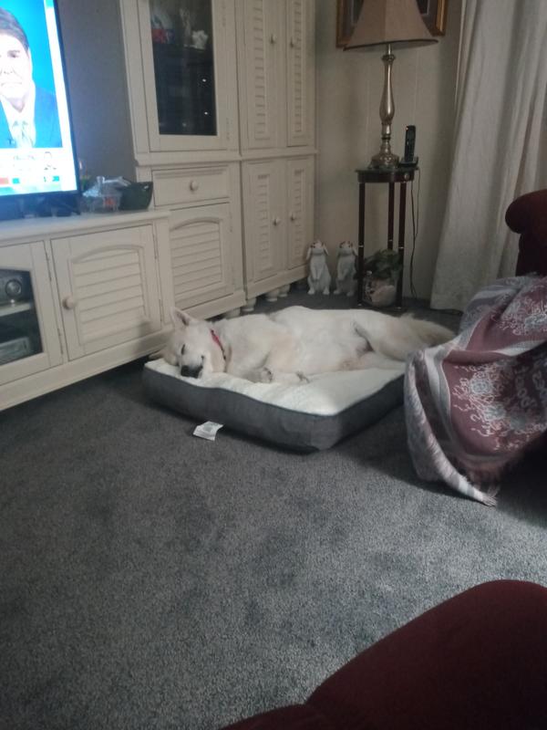 Leave me alone unless you have a wrap...