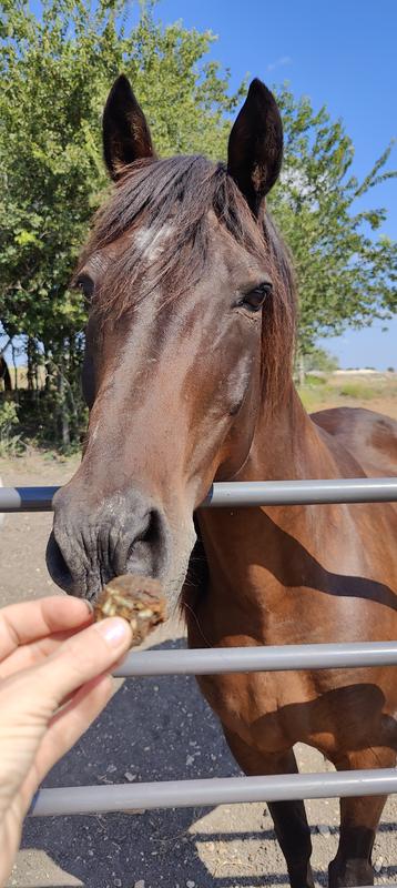 even picky eaters like the treat