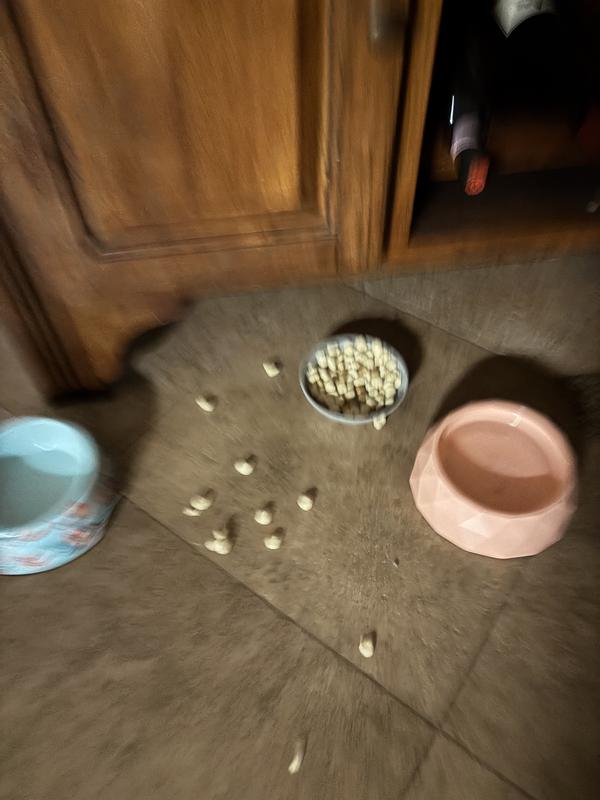 Trying to transition to new food which she has always taken to a new flavor/brand this new Purina HA is inedible for her.