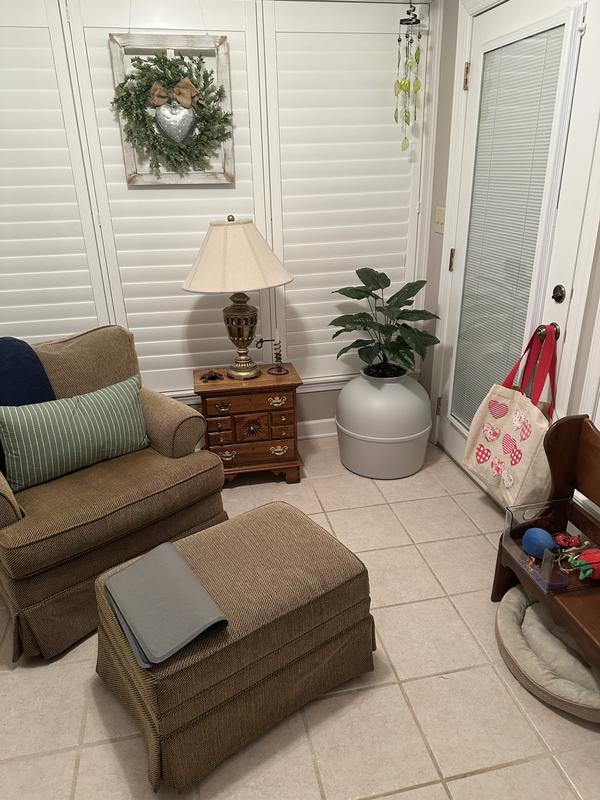 My bashful four legged child