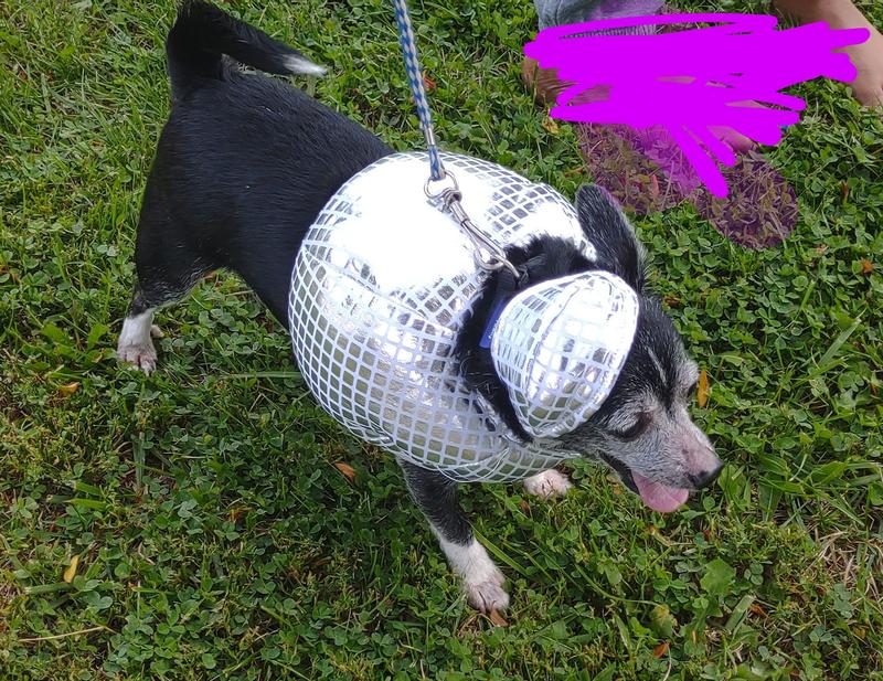 Disco ball cheap costume