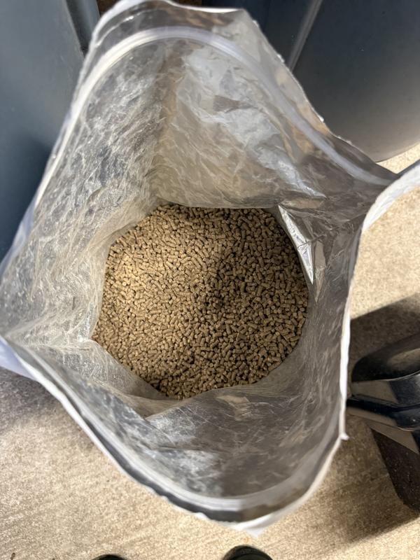 What the bag looks like after we’ve used it for a few weeks