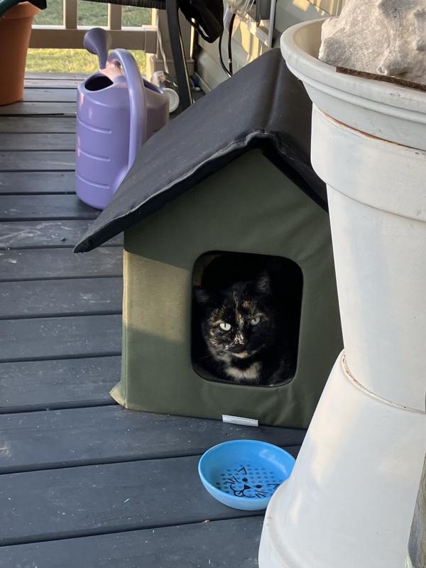 Heated Insulated Cat House