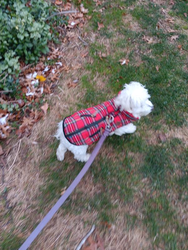 Beautiful tartan coat