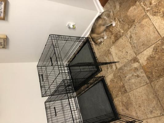 The one on the very far right is the cage I got.