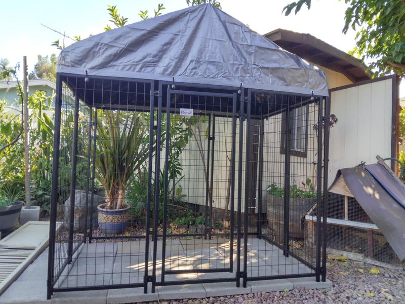 Nice kennel, dog liked it but it wasn't for him