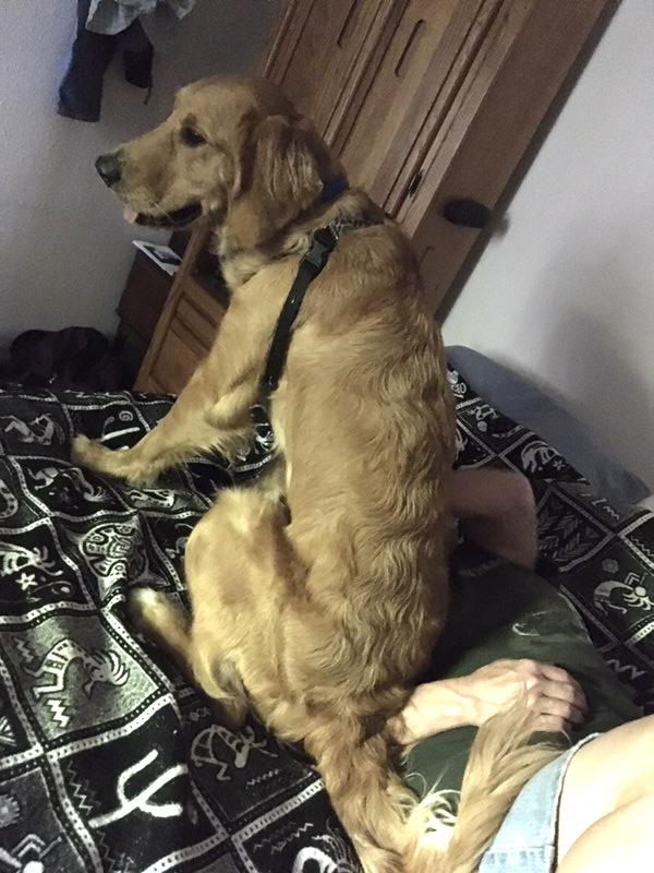 She loves sitting on me!