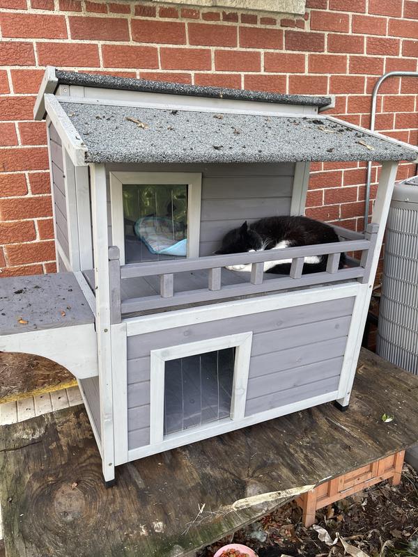 Napping on the porch